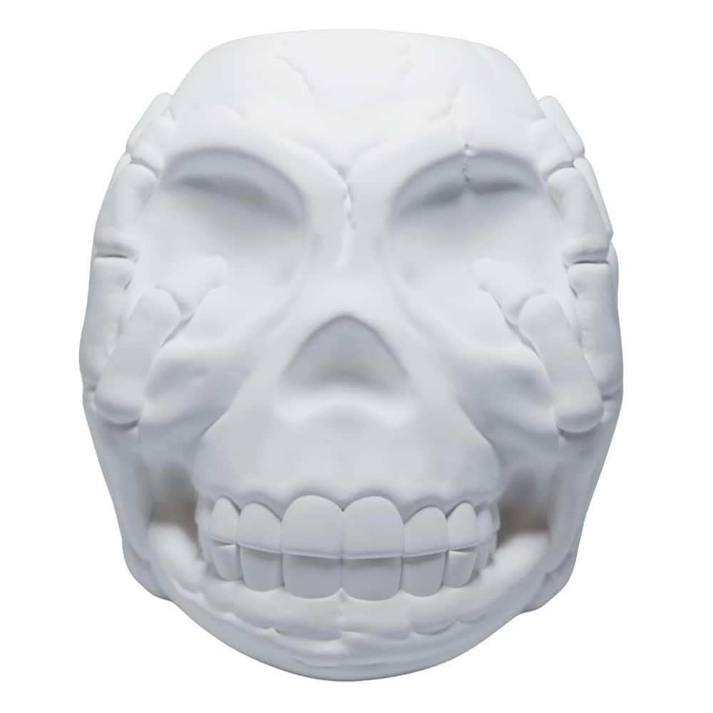 6.6" DIY Skull Plaster Plant Pot by Ashland®