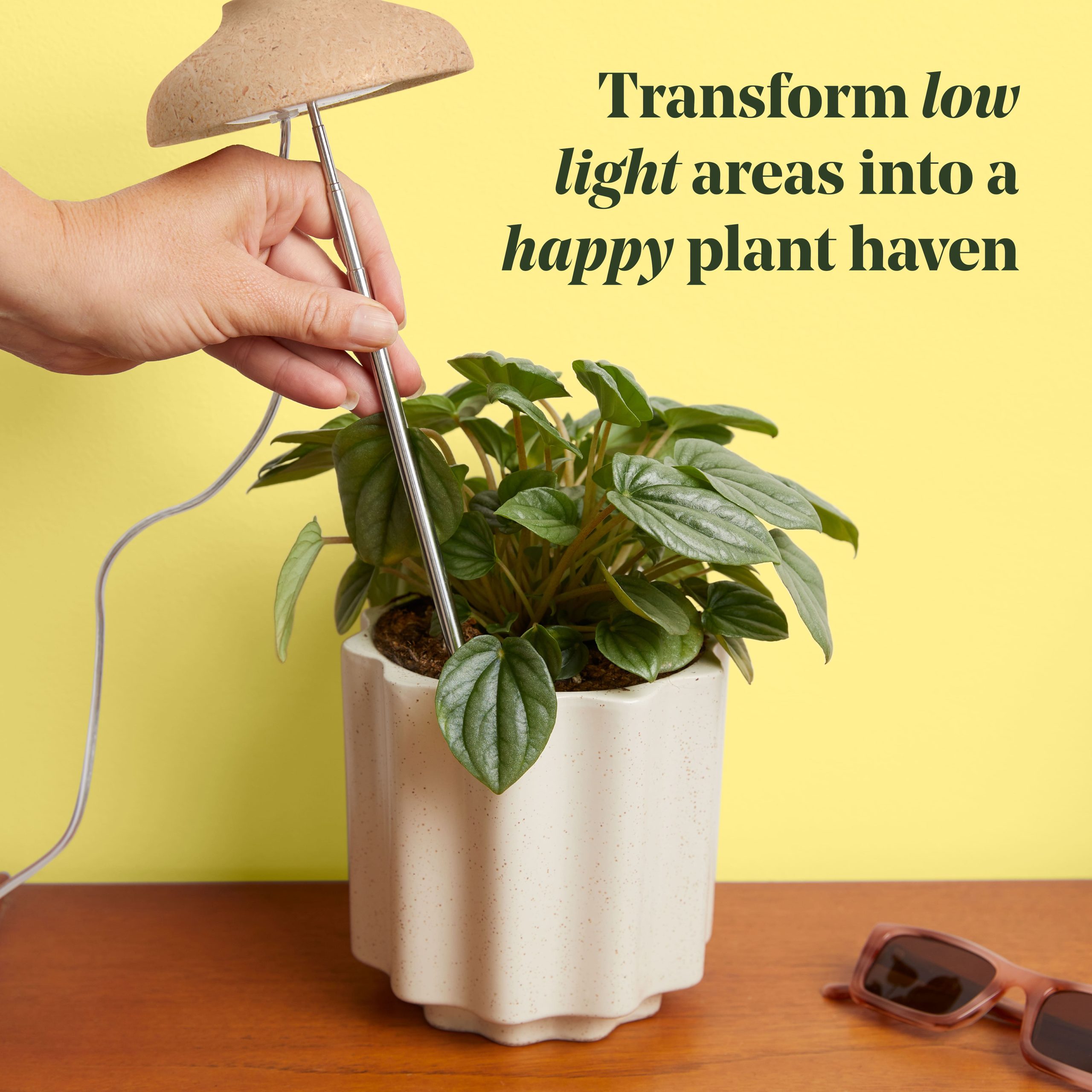 We The Wild™ Instant Sun Full Spectrum LED Grow Lamp for Houseplants - Image 2