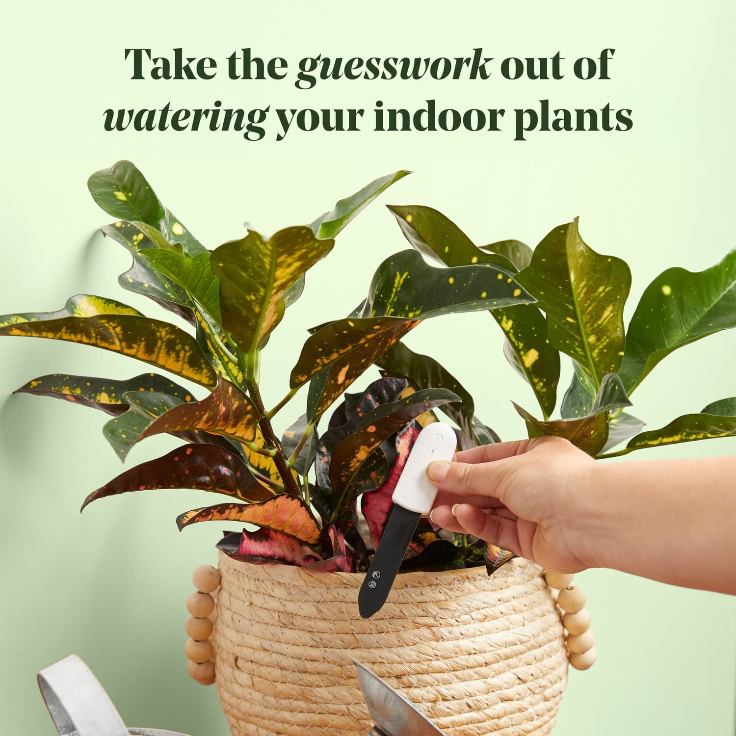 We The Wild™ Soil Moisture Meter - Image 2
