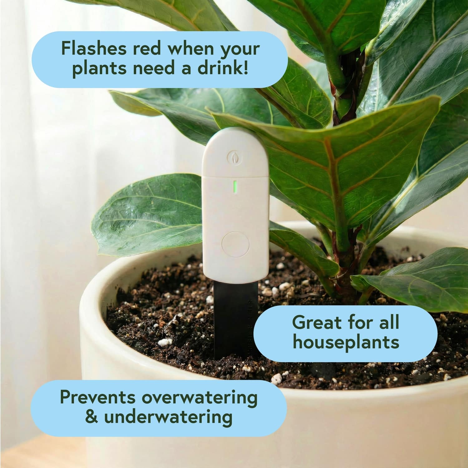 We The Wild™ Soil Moisture Meter - Image 4