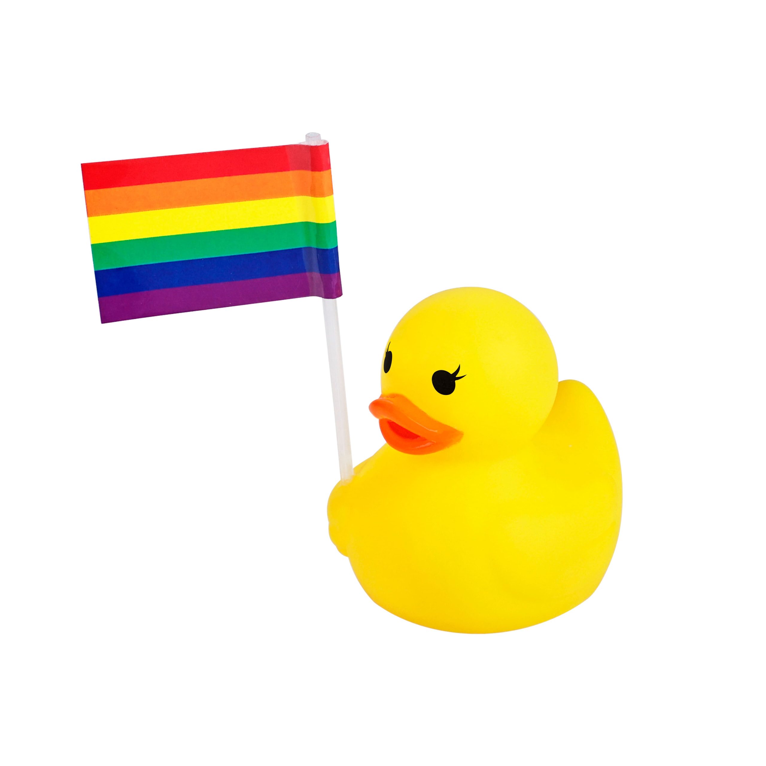 Duck with Pride Flag by Celebrate It™ - Image 3