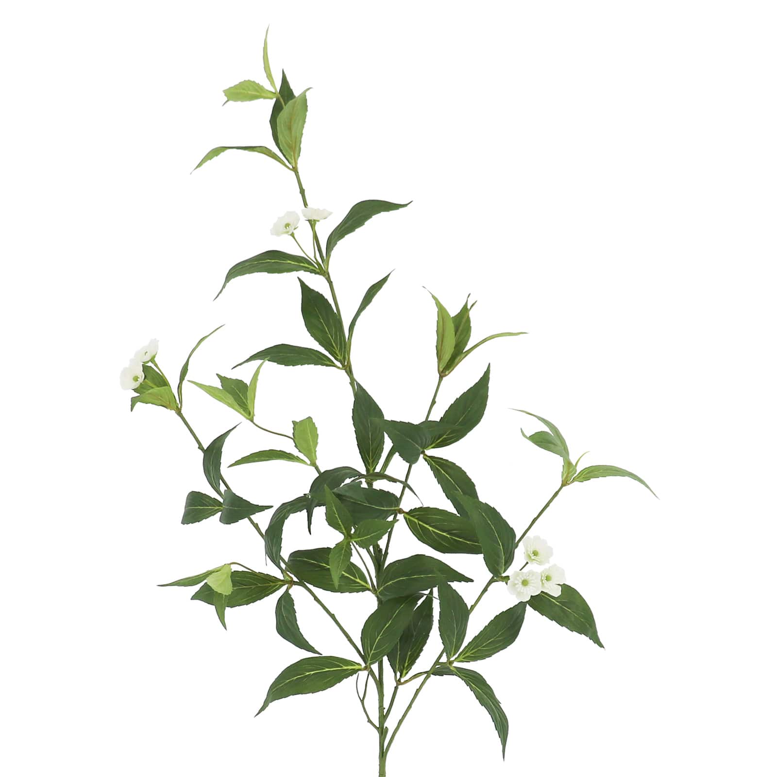 25" Balsam Leaf Stem by Ashland® - Image 2