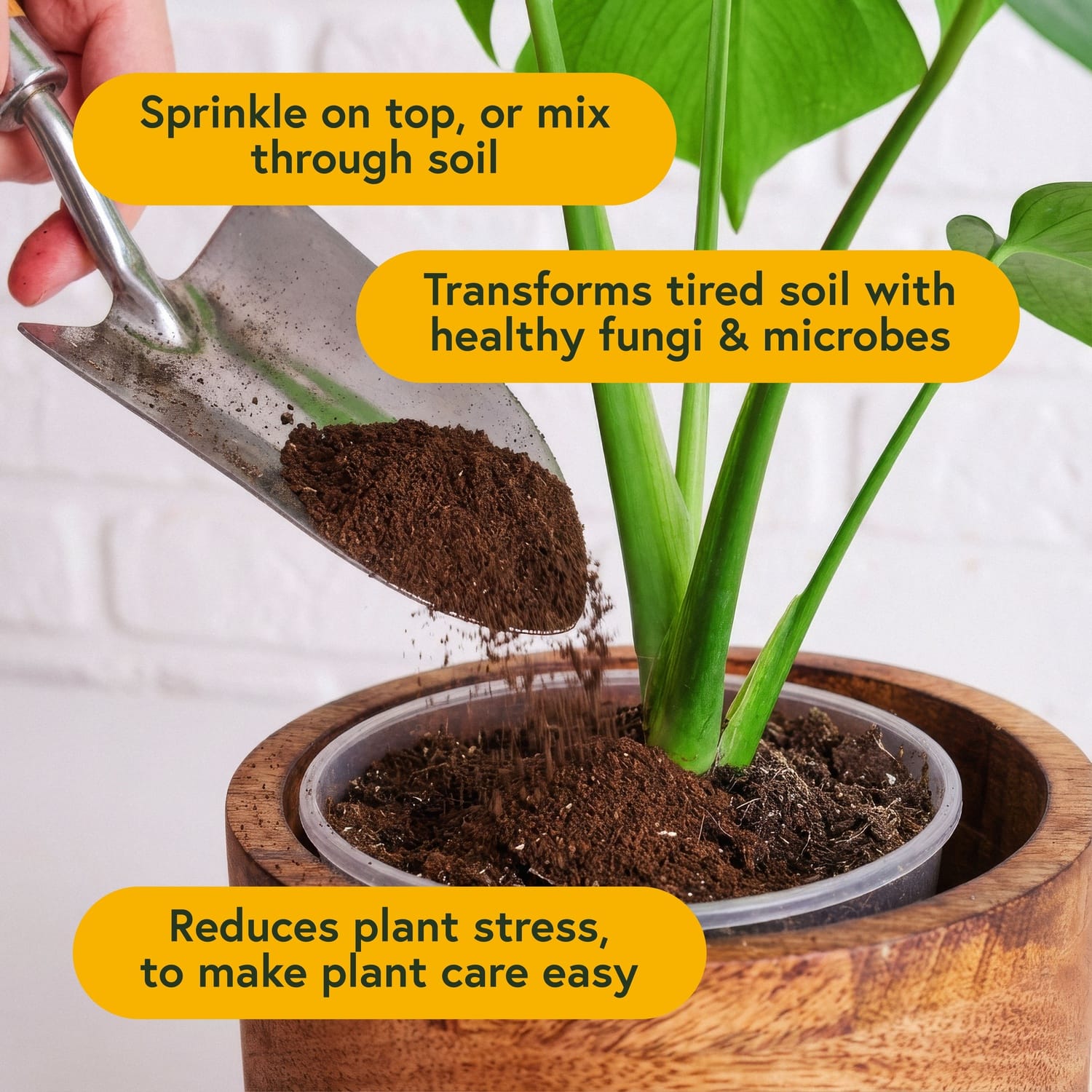 We The WIld™ 8.8oz. Enrich Powder Slow-Release Organic Soil Amendment & Plant Food for Houseplants - Image 4