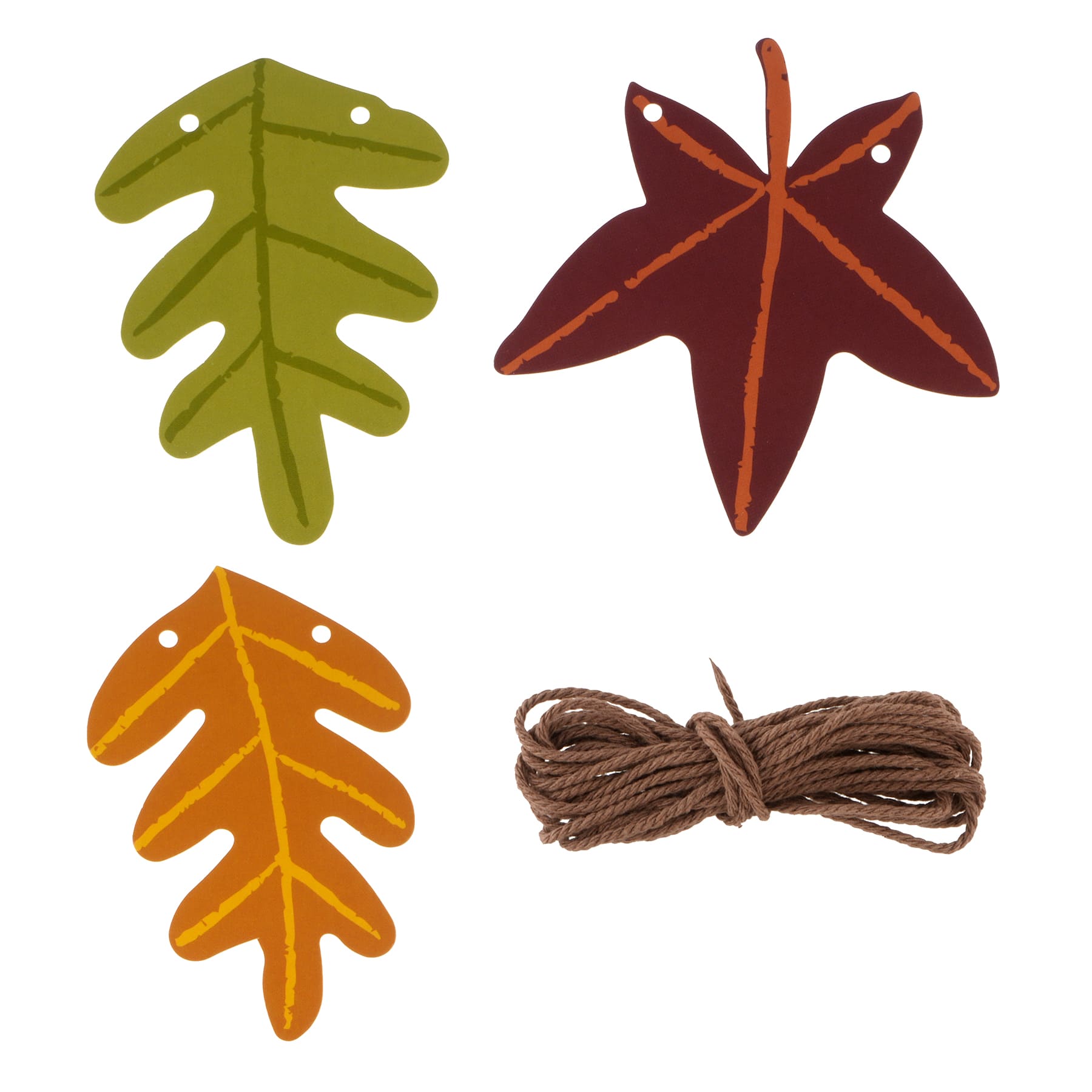 Class Rules! Fall Leaf Paper Garland by B2C™