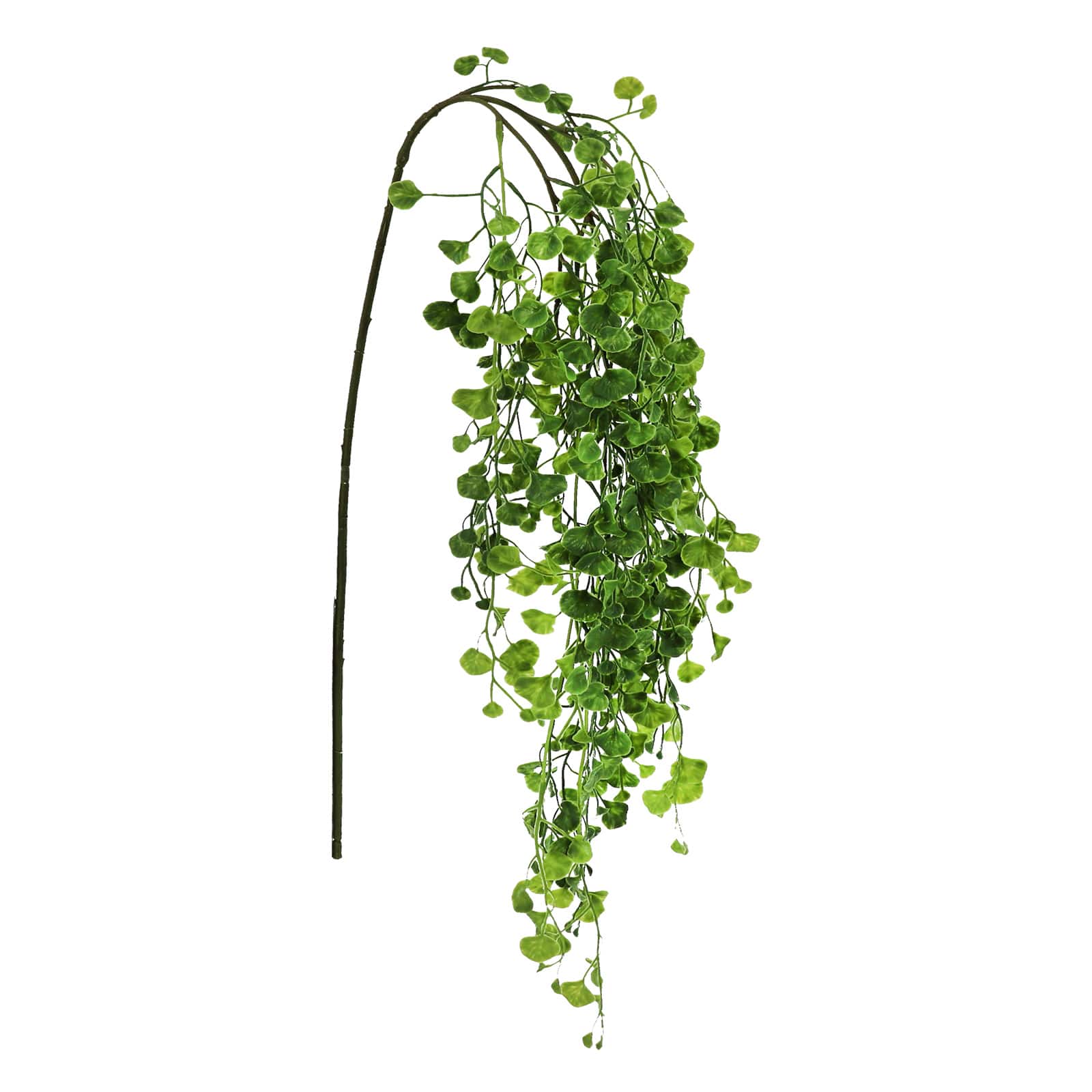 24" Hanging Foliage Stem by Ashland®