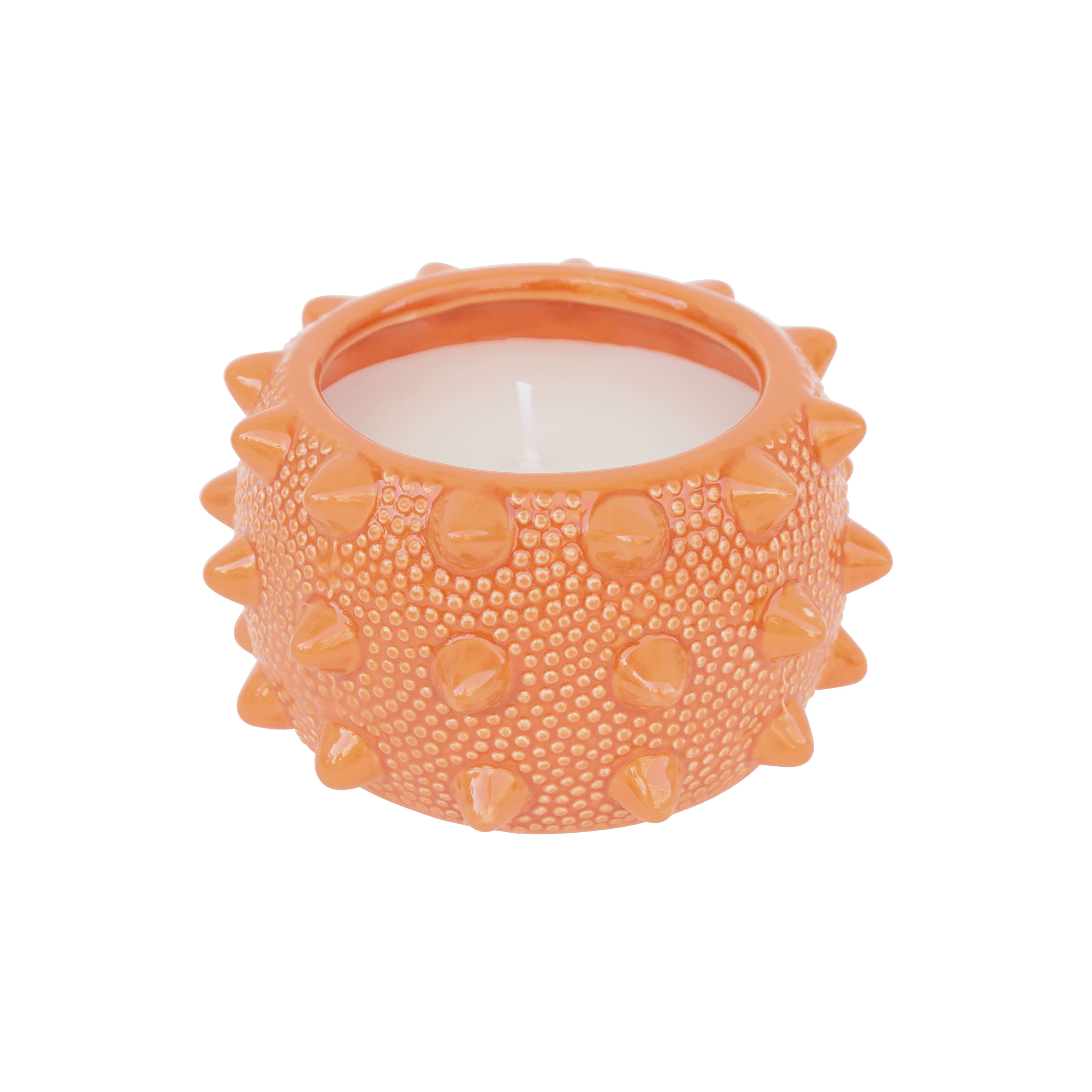 9oz. Citronella, Basil & Clove Scented Candle by Ashland®