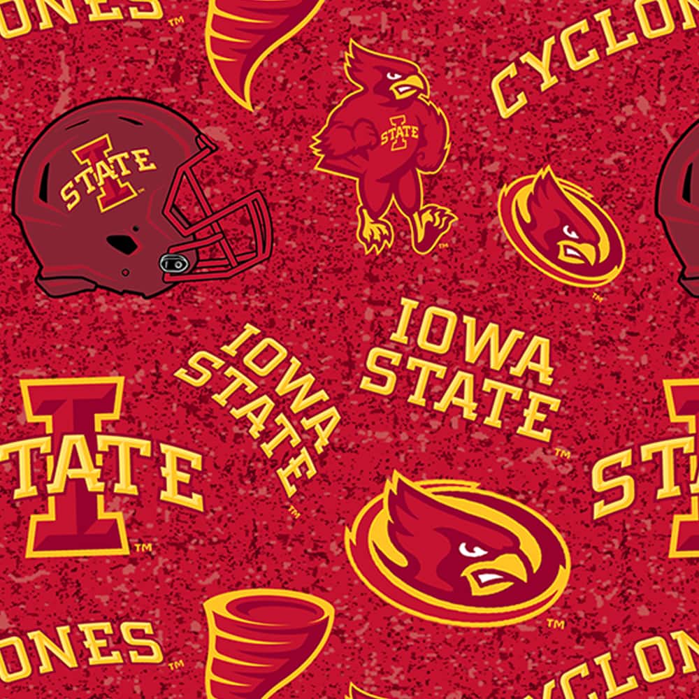 NCAA Iowa State University Tone-on-Tone Cotton Fabric