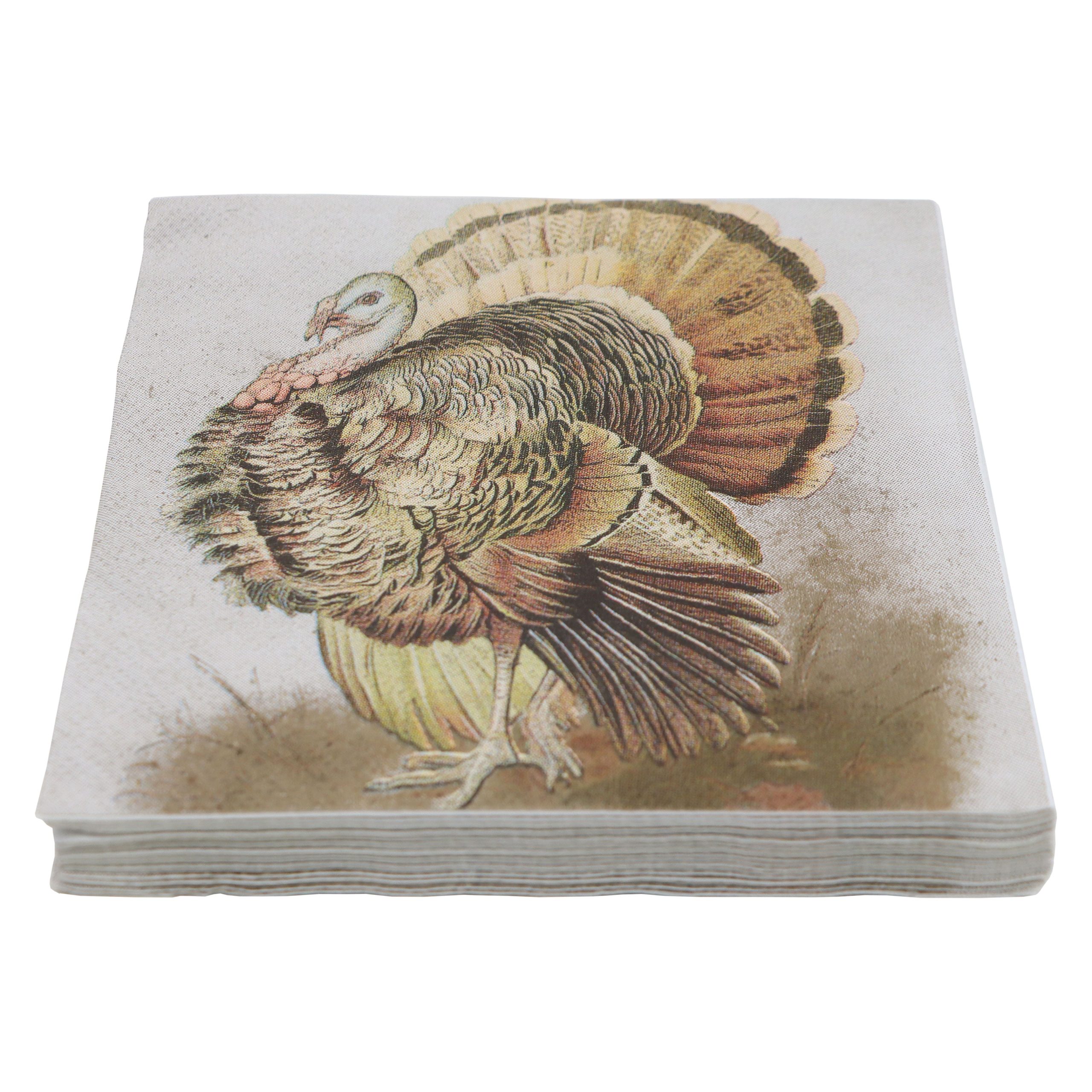 Thanksgiving Turkey Beverage Napkins, 20ct. by Celebrate It™ - Image 3