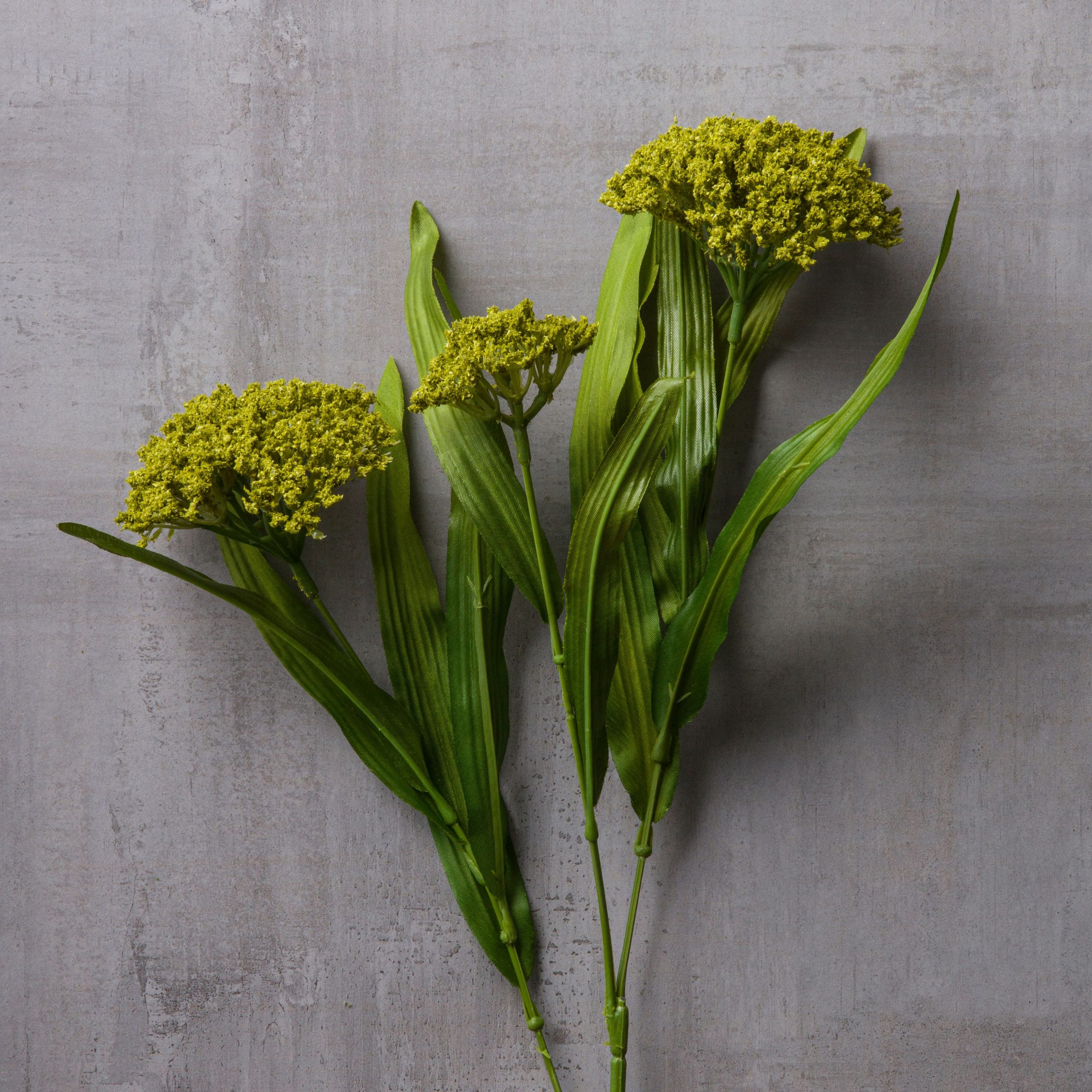 Green Queen Anne's Lace Stem by Ashland® - Image 2