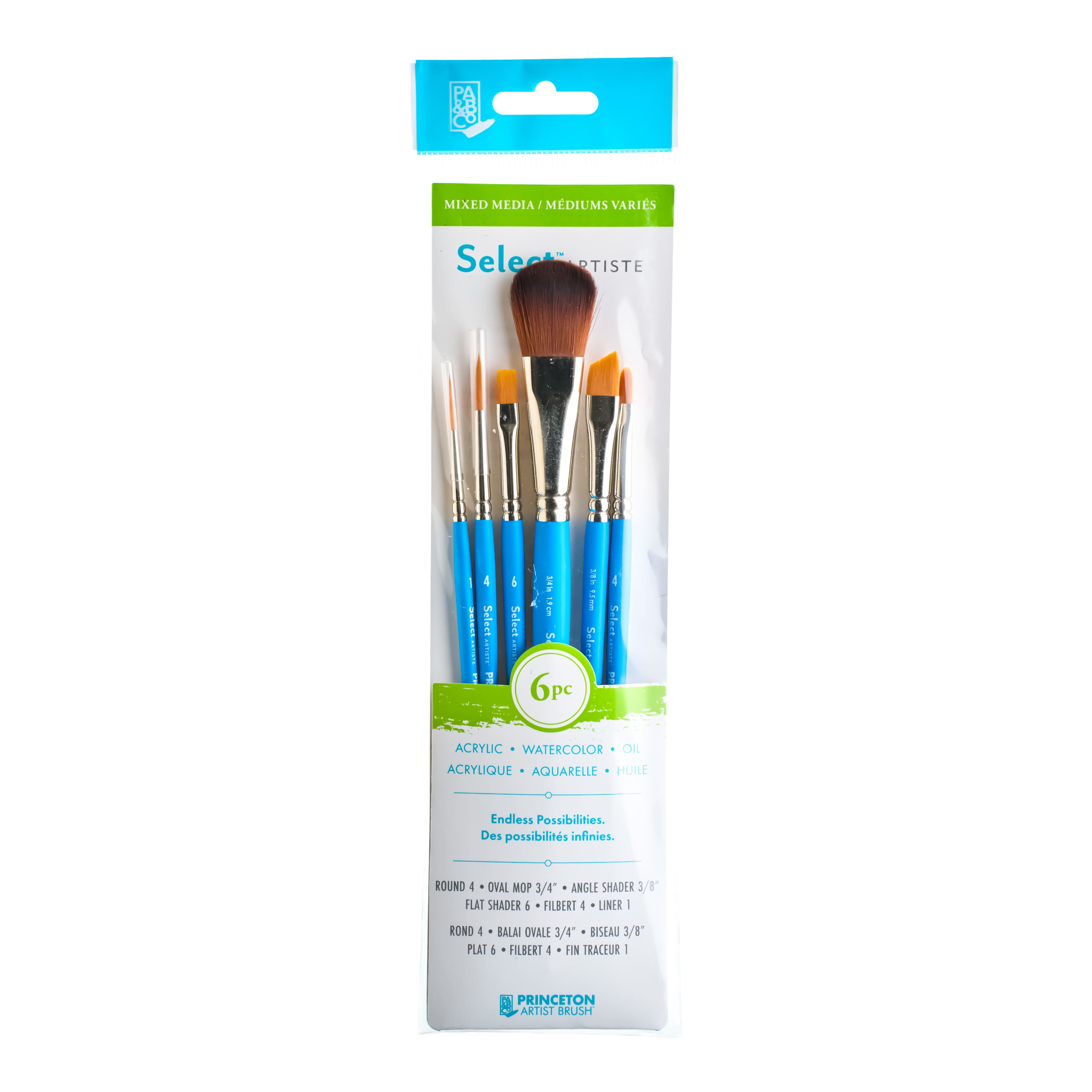 Princeton™ Select Artiste™ #20 6 Piece Brush Set