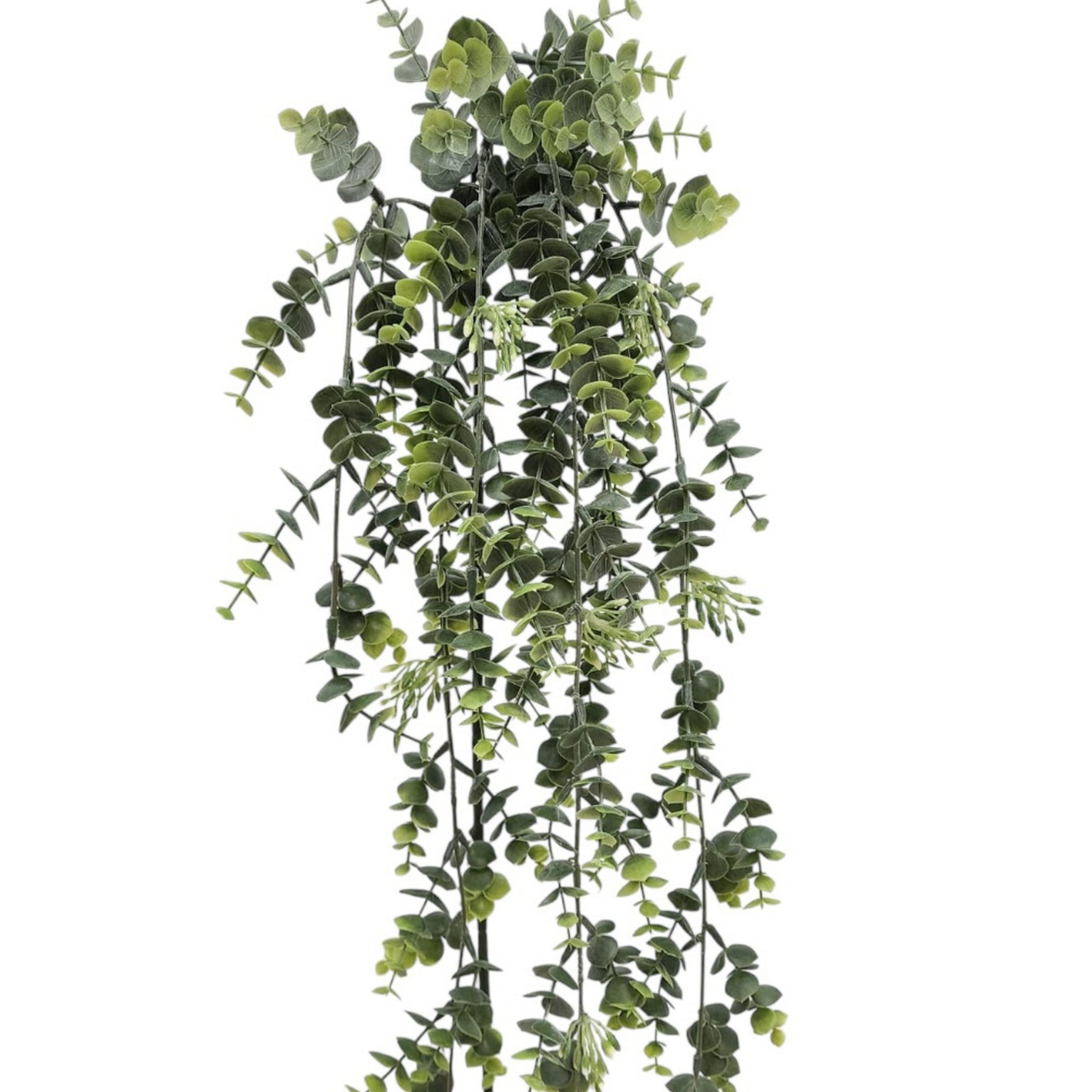 4ft. Green Hanging Eucalyptus Stem by Ashland® - Image 2