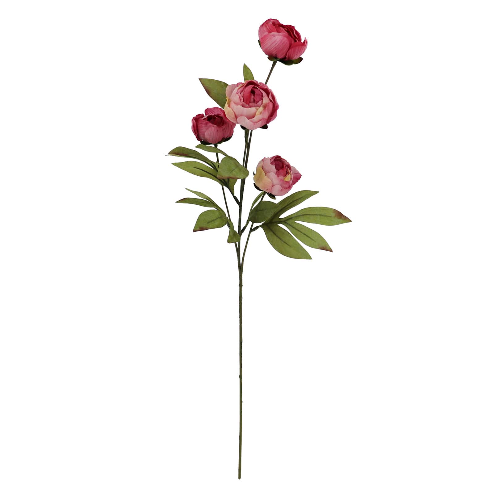 27.5" Dried Pink Peony Stem by Ashland®