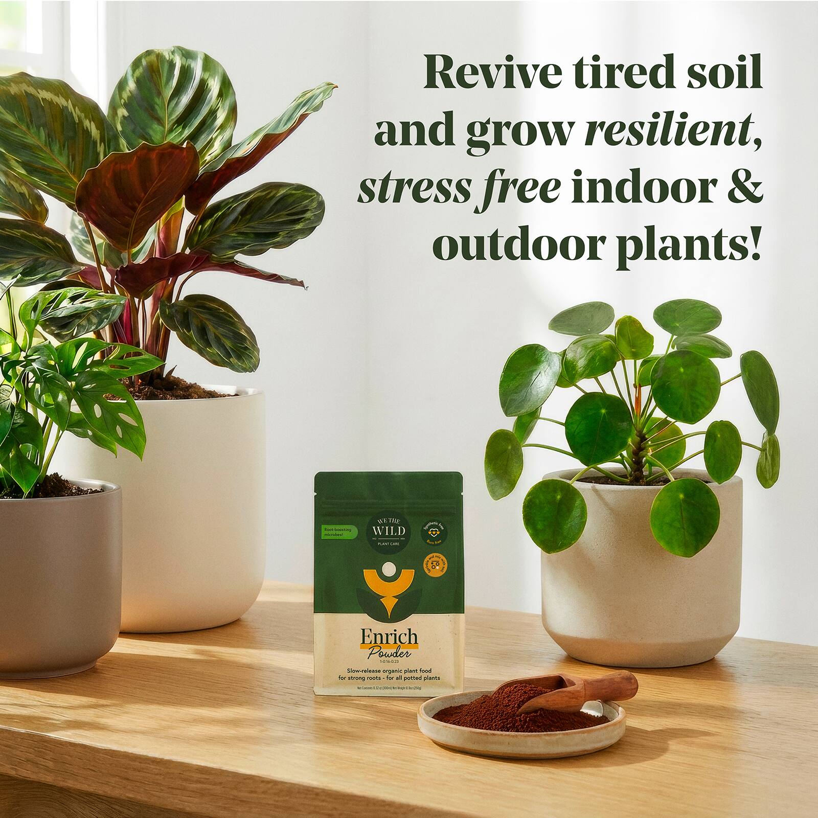 We The WIld™ 8.8oz. Enrich Powder Slow-Release Organic Soil Amendment & Plant Food for Houseplants - Image 2