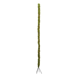 36" Bendable Moss Pole, 2ct. by Ashland®