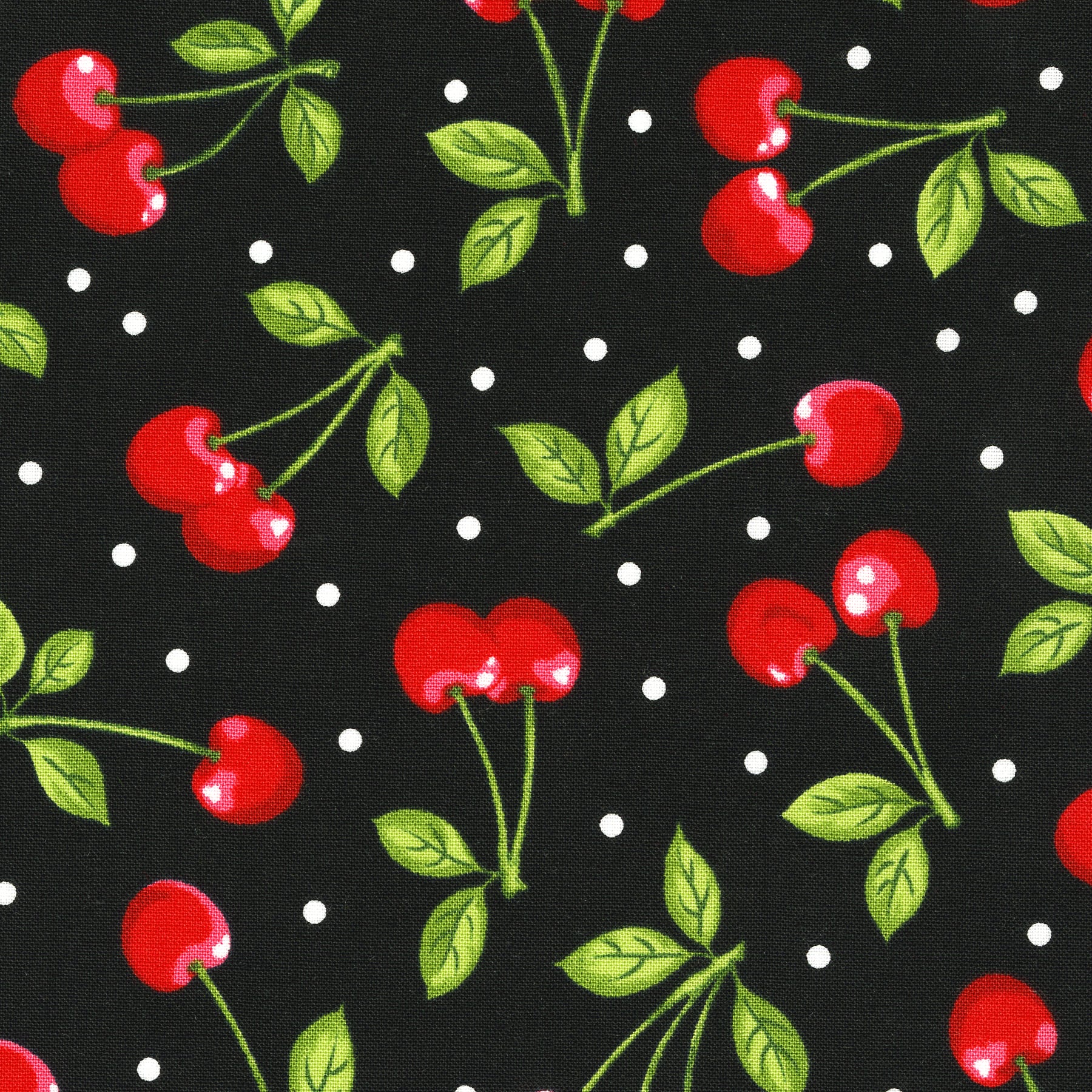 Robert Kaufman Summertime Cotton Fabric