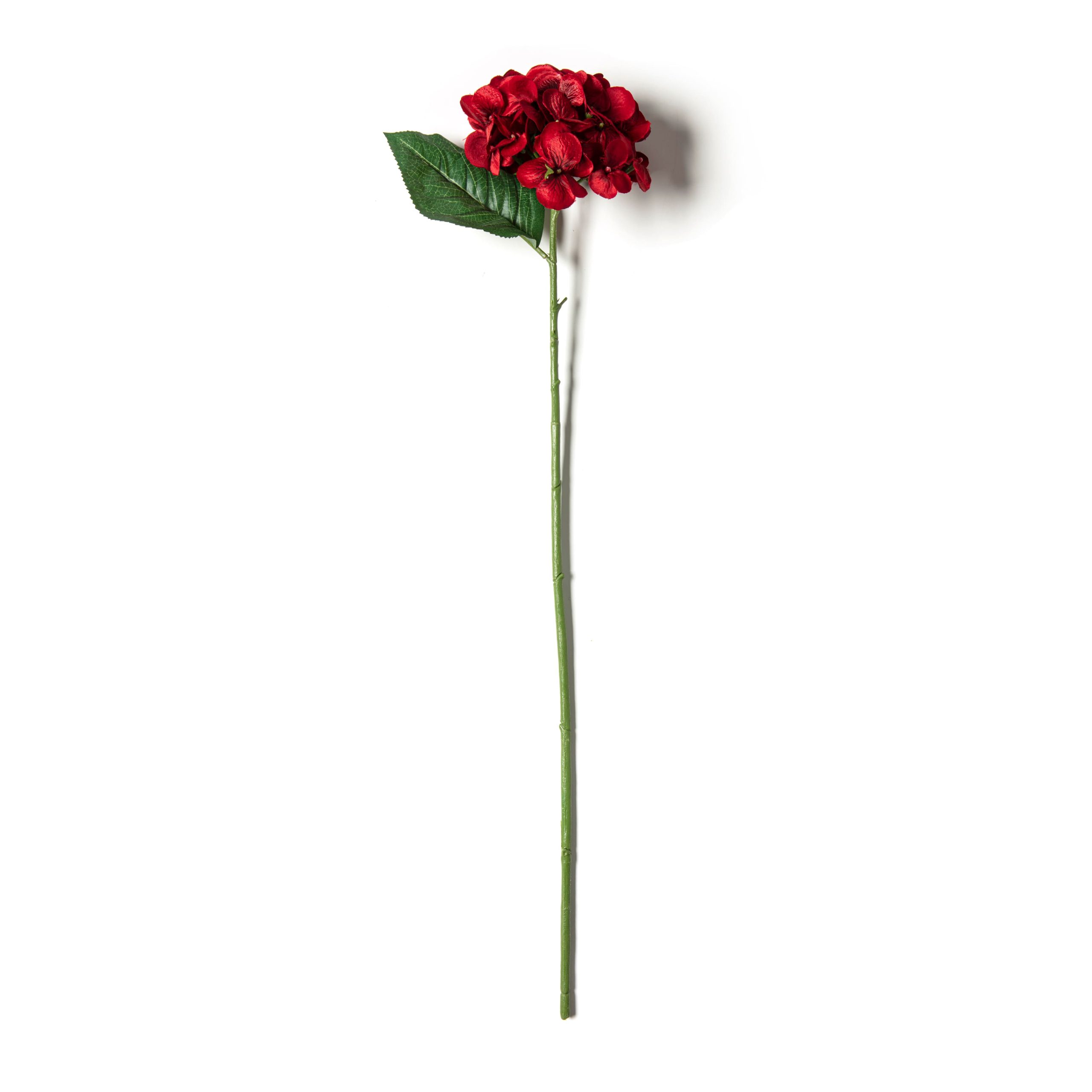 25" Hydrangea Stem by Ashland® - Image 4