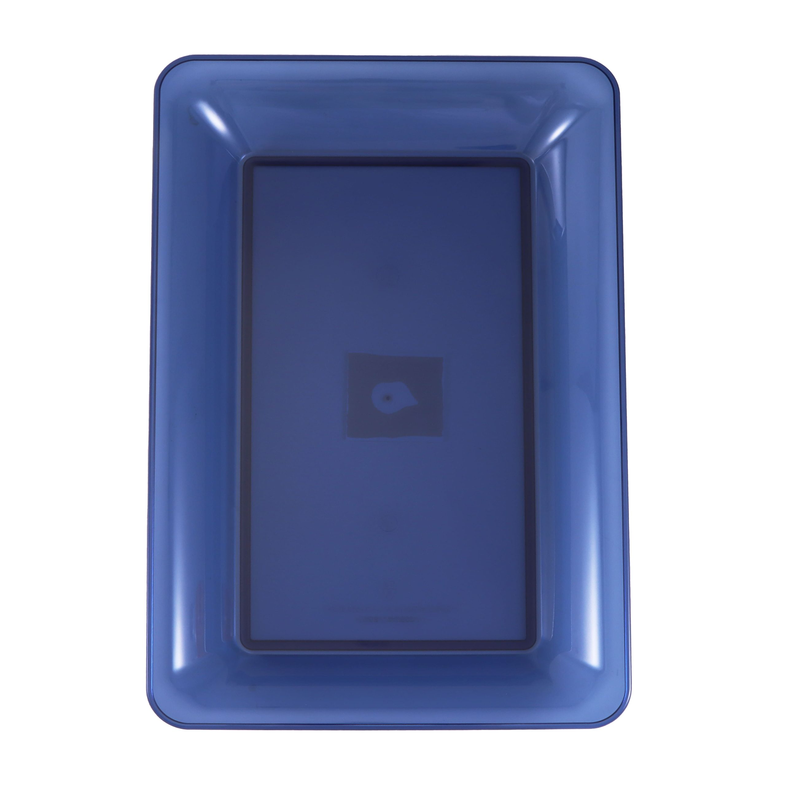14.5" x 9.5" Plastic Tray by Celebrate It™