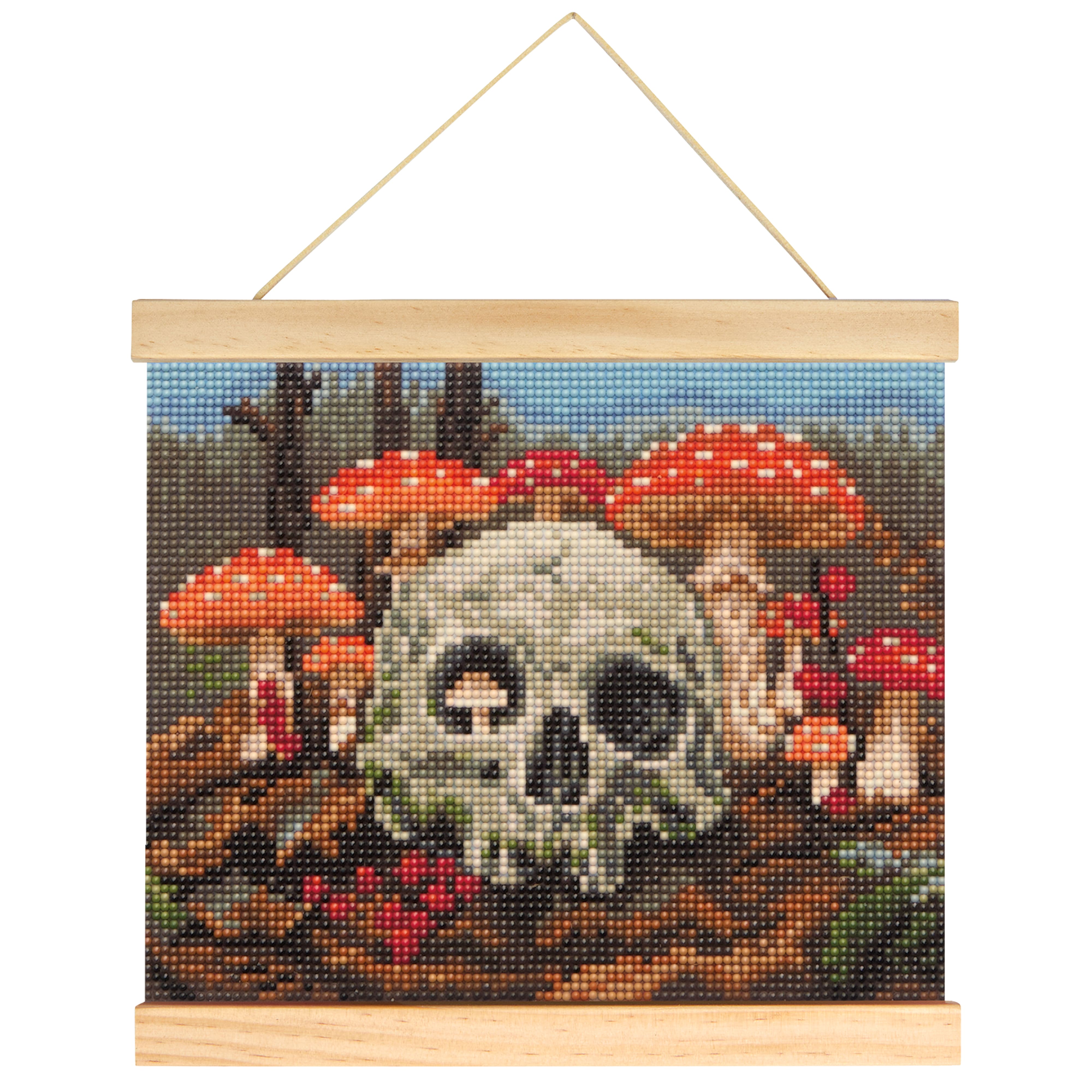 8" x 10" Skull & Mushrooms Diamond Art Kit with Magnetic Wood Frame by Make Market®