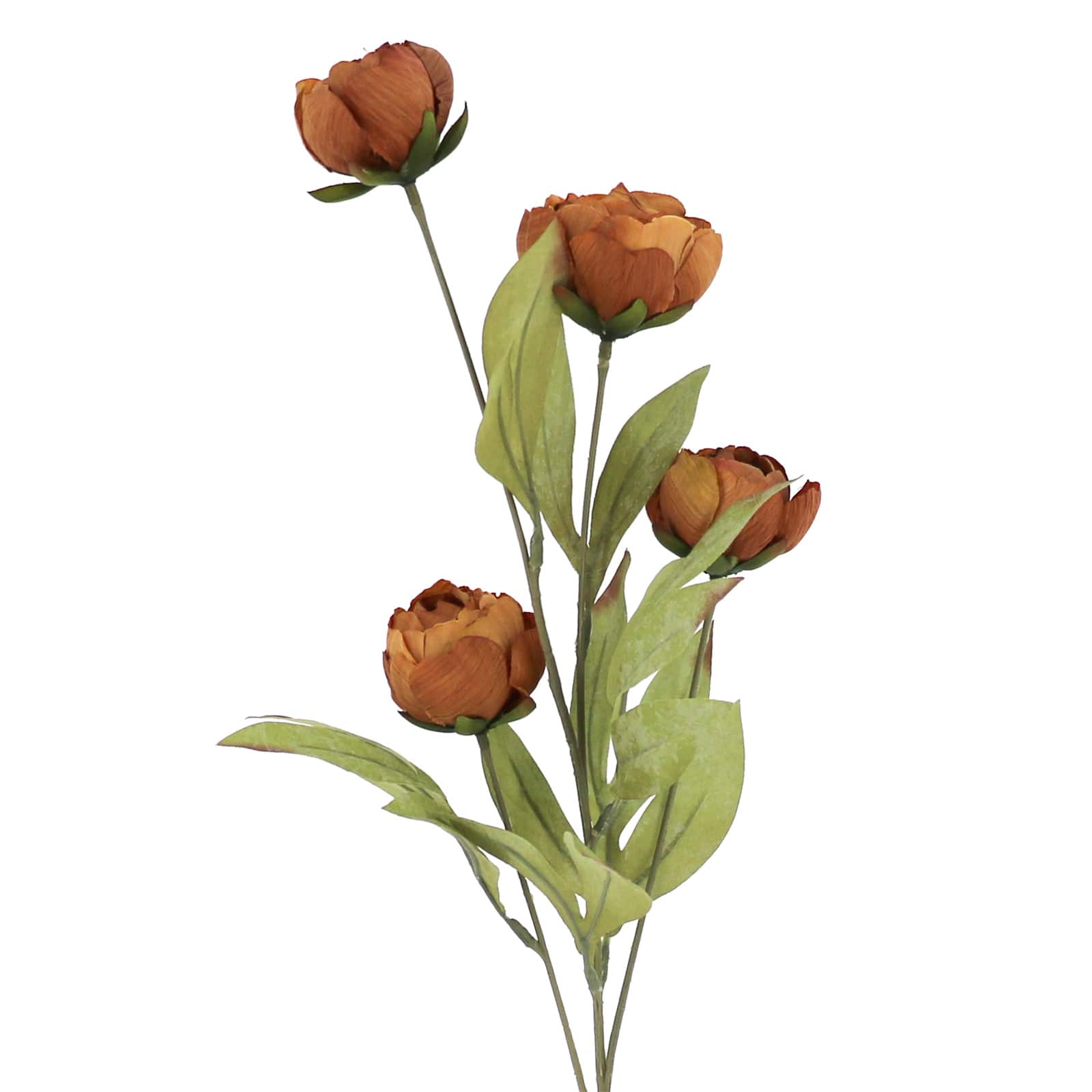 27.5" Dried Brown Peony Stem by Ashland® - Image 2